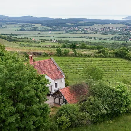 Nyaraló Borospince *