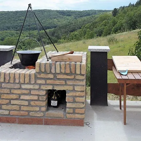 Borospince Vendeghaz Holiday home *