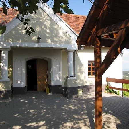 Borospince Vendeghaz Holiday home *