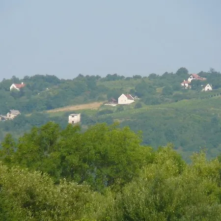 Holiday home Borospince Vendeghaz Pecsely