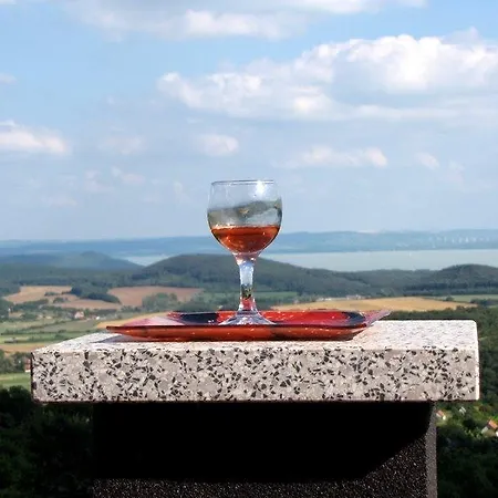 Nyaraló Borospince *