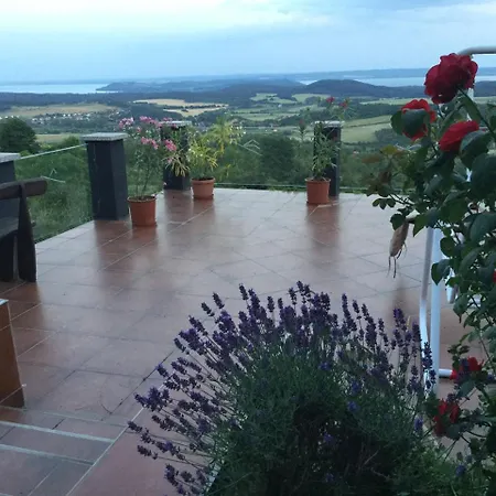 Borospince Vendeghaz Holiday home