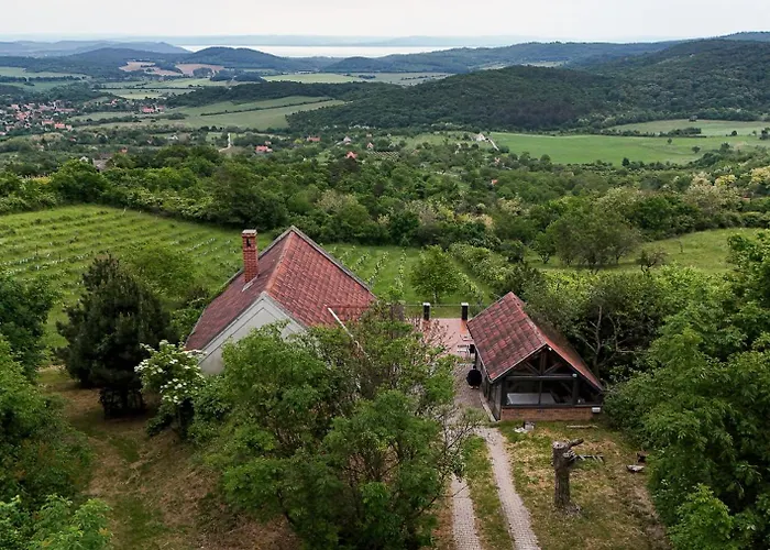 Borospince Vendeghaz Pécsely